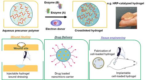  Dextran: Biocompatible Wonders for Drug Delivery and Tissue Engineering Applications?