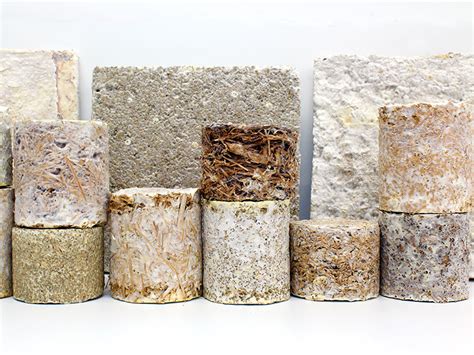 Mycelium: Biocomposite Material Revolutionizing Construction and Packaging!