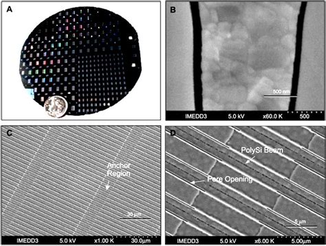 Nanopore Membranes: Vật liệu Mới Cho Giải Pháp Lọc Tách Cao Hiệu Suất Và Bền Bỉ!