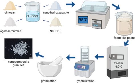 Zein:  Biocompatible Protein for Regenerative Medicine Applications!